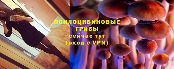 дмт Каменск-Шахтинский