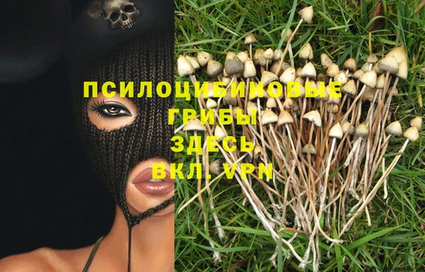 МДПВ Каменка