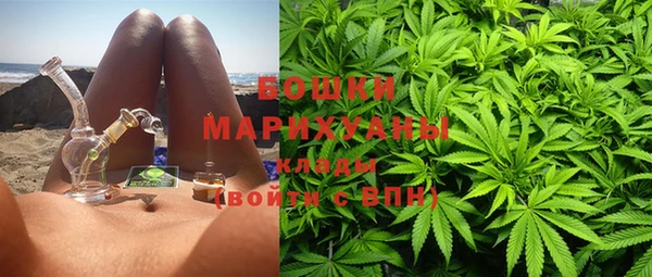 МДПВ Каменка