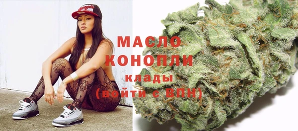МДПВ Каменка
