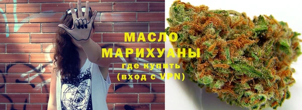 МДПВ Каменка